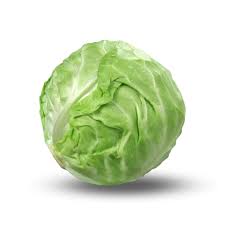 Cabbage