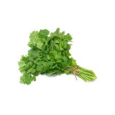 Coriander