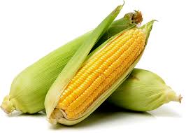 Corn