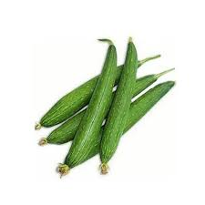 Ridge Gourd